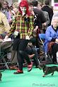 Crufts2011_2 846